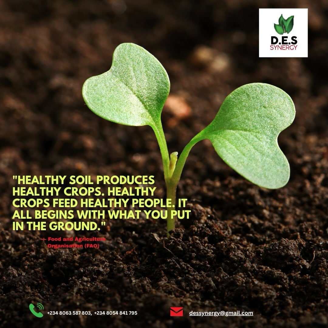 Healthy soil supports healthy crops